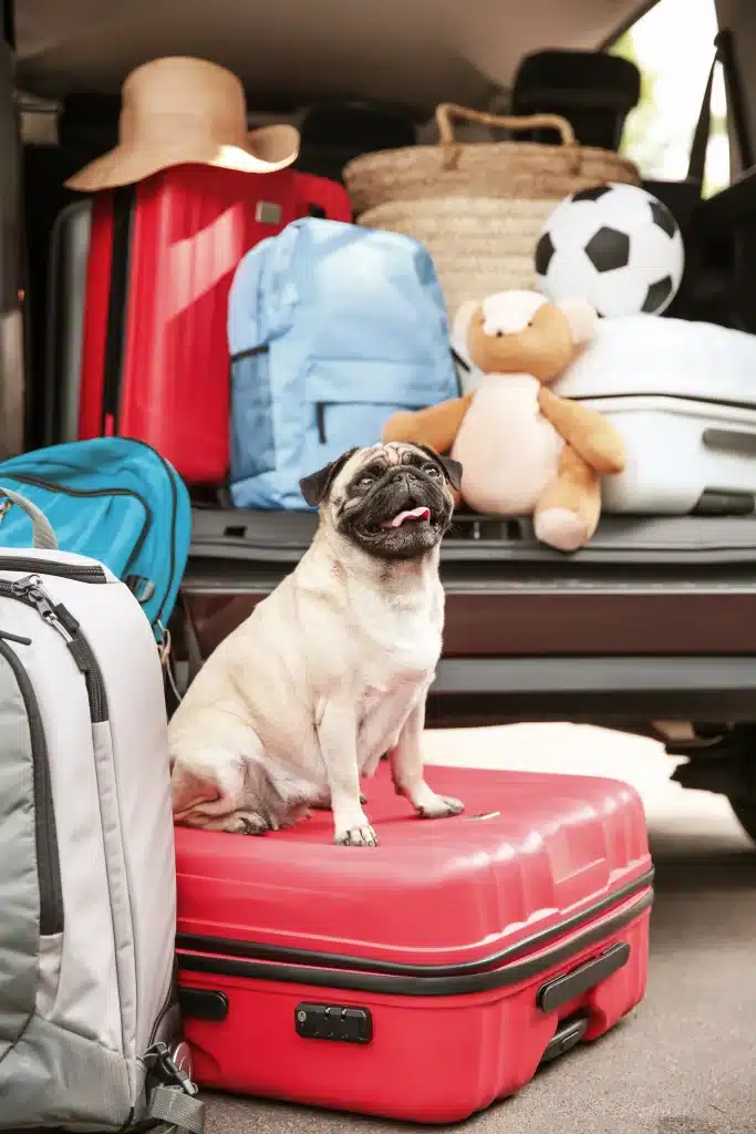 Ontdek last-minute kampeervakanties in Vendée